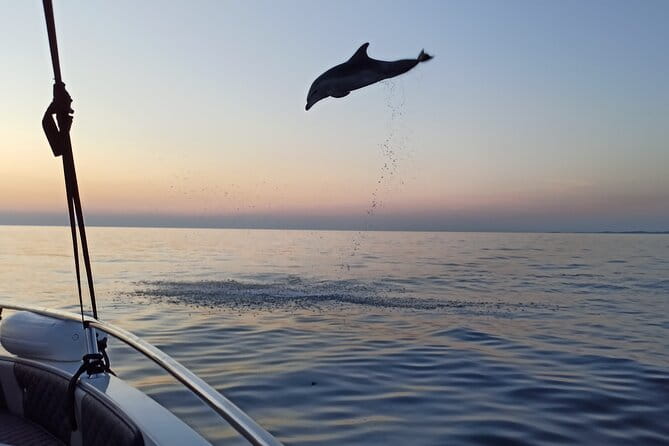 Sunrise Dolphins & Fishermen at Work speedboat tour in Rovinj - Key points / Takeaways