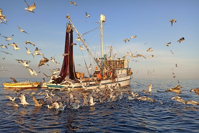 Sunrise Dolphins & Fishermen at Work speedboat tour in Rovinj - The Sum Up