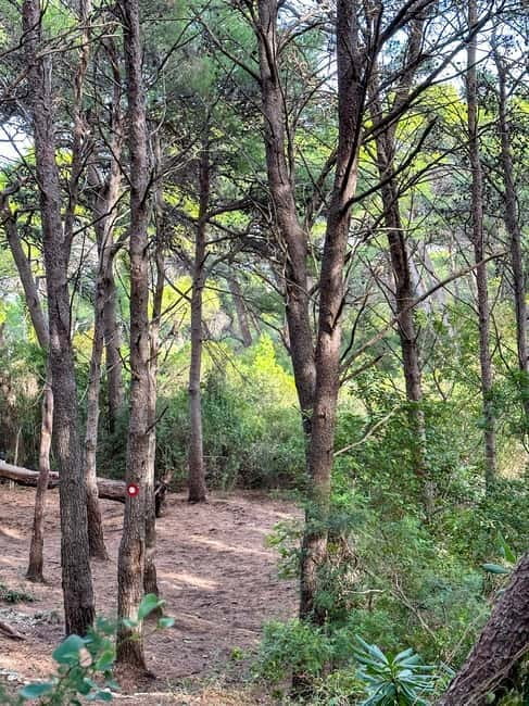 Sunrise & Sunset Hike with Picnic  Mala Petka, Dubrovnik - A Calm Escape with Stunning Views: Sunrise & Sunset Hike with Picnic at Mala Petka, Dubrovnik