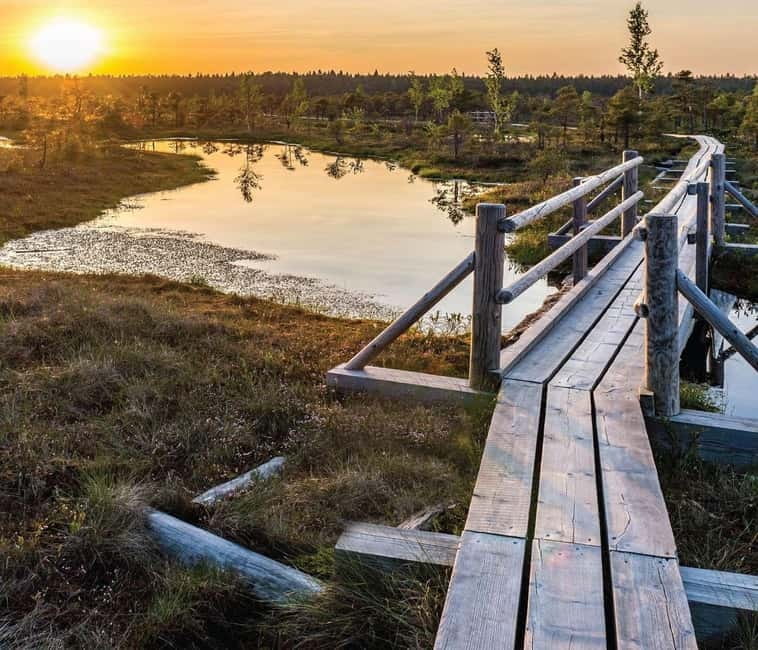 Sunrise Tour To Great Kemeri Bog - Key points / Takeaways