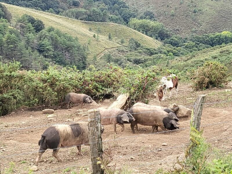 Sunset - Entering the World of Basque Coast and Mountain Views