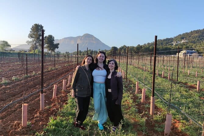 Sunset among Vineyards with Tasting in Alicante (min 6-12 people) - Exploring the Vineyard and Its Surroundings