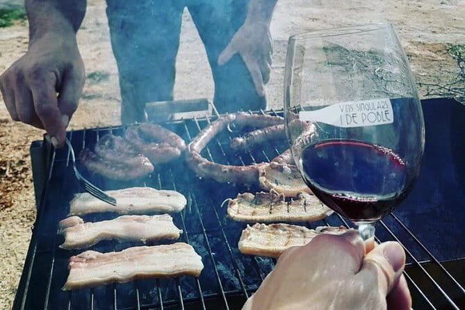 Sunset among Vineyards with Tasting in Alicante (min 6-12 people) - Practical Considerations: Logistics, Group Size, and Value