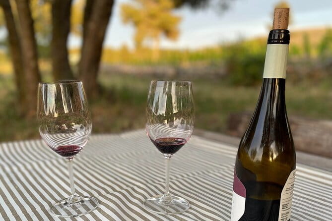 Sunset among Vineyards with Tasting in Alicante (min 6-12 people) - Who Will Love This Tour?