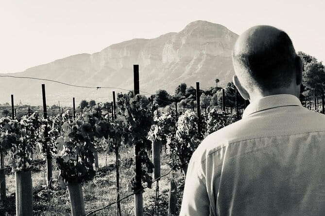 Sunset among Vineyards with Tasting in Alicante (min 6-12 people) - Final Thoughts: Is This the Right Experience for You?