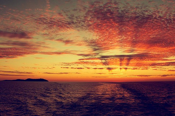 Sunset Beach Hopping Cruise, Cala Comte and Cala Bassa, SUP and Snorkelling - Water Activities Offered