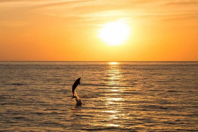 Sunset Beach Hopping Cruise, Cala Comte and Cala Bassa, SUP and Snorkelling - Scenic Bay and Sunset Viewing