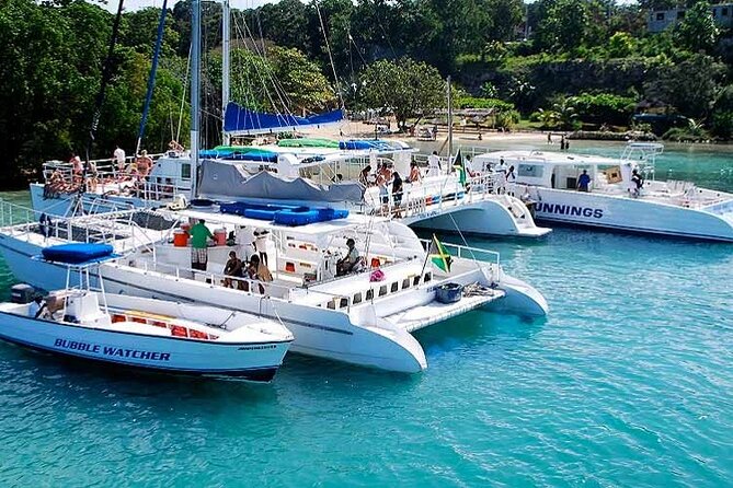 Sunset Catamaran Cruise, Snorkeling and Ricks Cafe - Pricing and Bookings