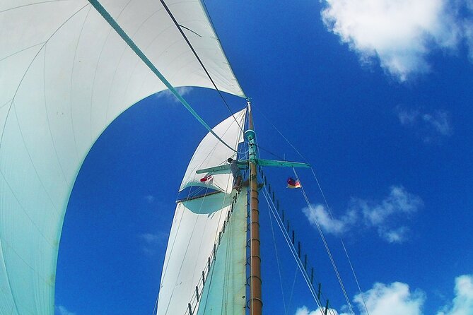 Sunset & Champagne Cruise on a Classic Schooner With Boat Dogs - Accessibility and Policies