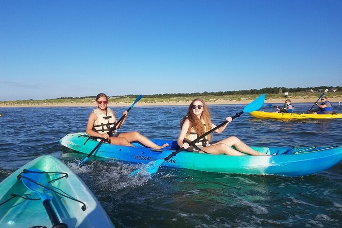 Sunset Dolphin Kayak Tours - What to Expect