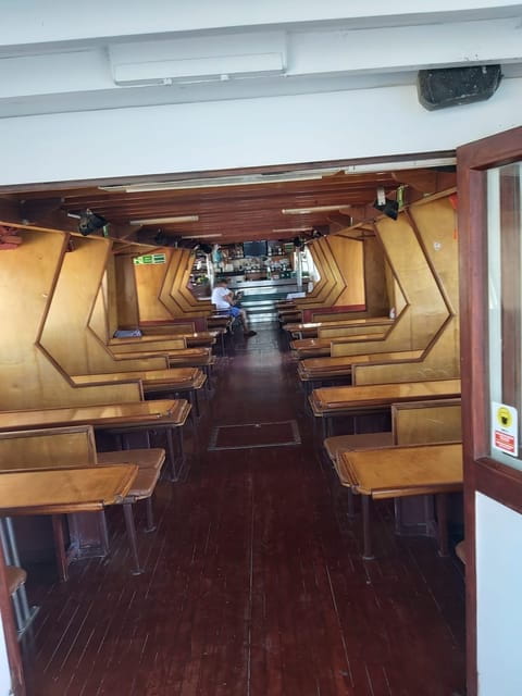 SUNSET DOLPHIN WATCHING BOAT TOUR - Sunset Dolphin Watching Boat Tour in Istria: A Delightful Evening on the Water