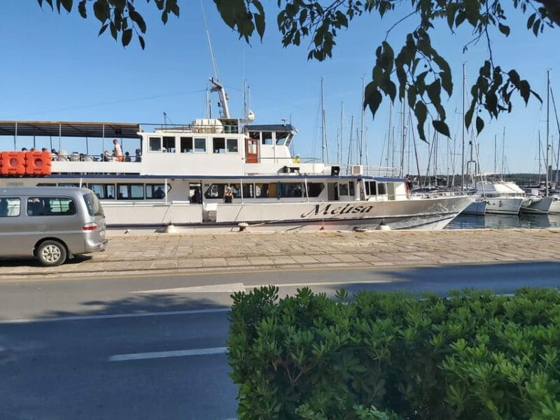 SUNSET DOLPHIN WATCHING BOAT TOUR - Dolphin Encounters: Playful Moments in the Wild