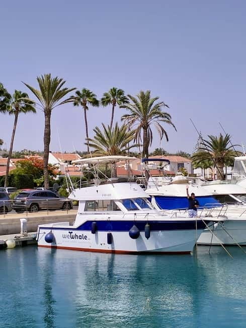 Sunset Dolphin Watching Tour on Hybrid Boat in Small Group - Setting Sail from Pasito Blanco: Quiet, Intimate, and Eco-Conscious