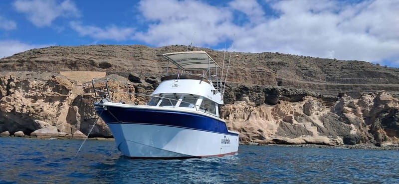 Sunset Dolphin Watching Tour on Hybrid Boat in Small Group - Price, Duration, and Practical Details: Is It Worth It?