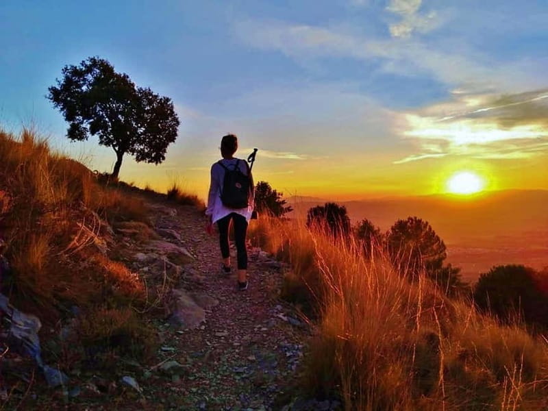 Sunset Hike & Summit Sierra Nevada with pup - Exploring the Trail in Detail