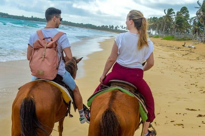 Sunset Horseback Riding Tour From Punta Cana - Reviews and Ratings