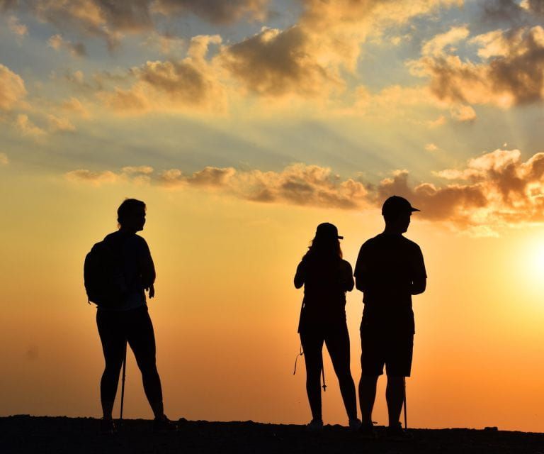 Sunset in Sierra Nevada at 2,500m Altitude - Wildlife Encounters