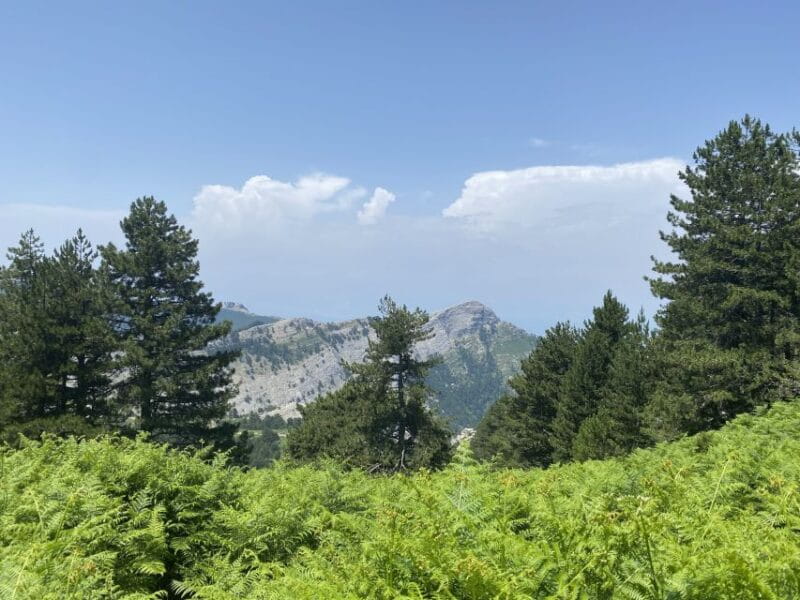 Sunset Jeep Safari in Thassos - Key Points / Takeaways