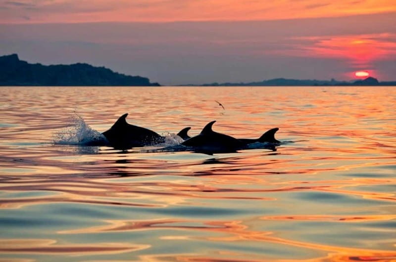 Sunset Kayak Tour + Snorkeling and Local Aperitif - Key points / Takeaways