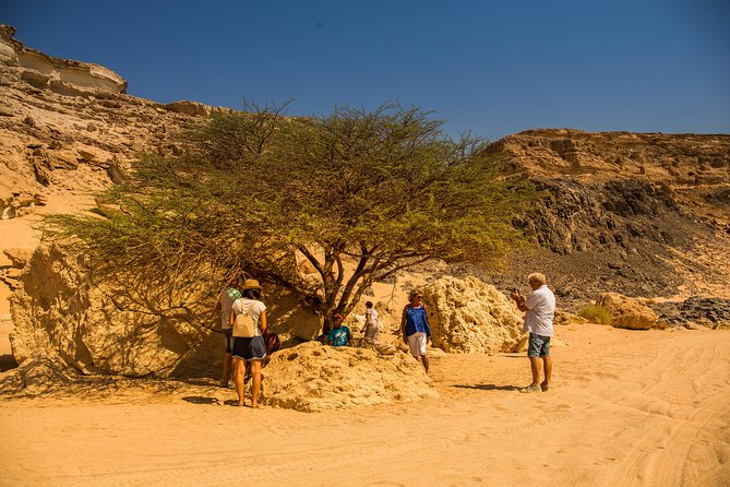 Sunset Oasis Desert Experience in El Gouna and Hurghada - Key Points