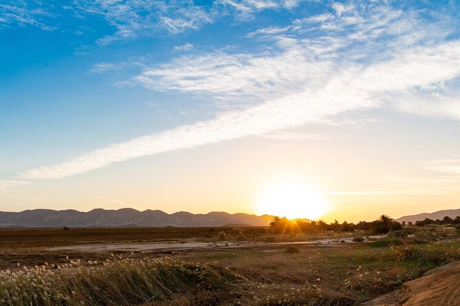 Sunset Oasis Desert Experience in El Gouna and Hurghada - Discovering Ancient Fossils