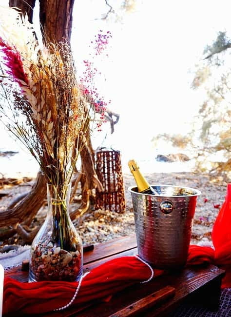 Sunset Picnic - Frequently Asked Questions