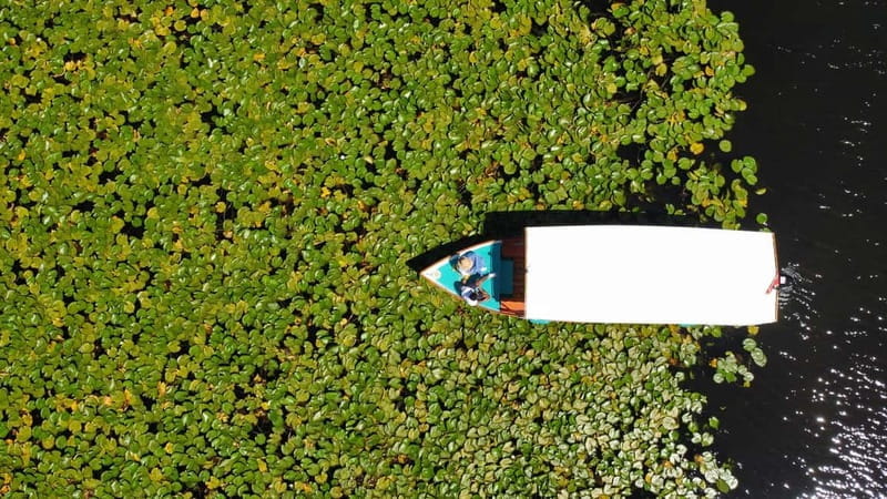 SUNSET/SUNRISE PRIVATE BOAT TOUR ON SKADAR LAKE (2H) - The Sum Up