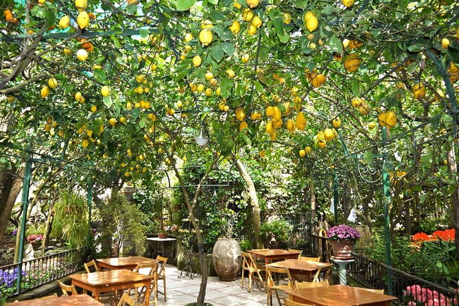 Sunset tour in Sorrento from Positano - Price and Value Considerations