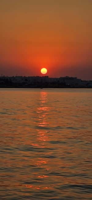 Sunset trip with swim stop at blue lagoon and turtles bay. - Final Thoughts