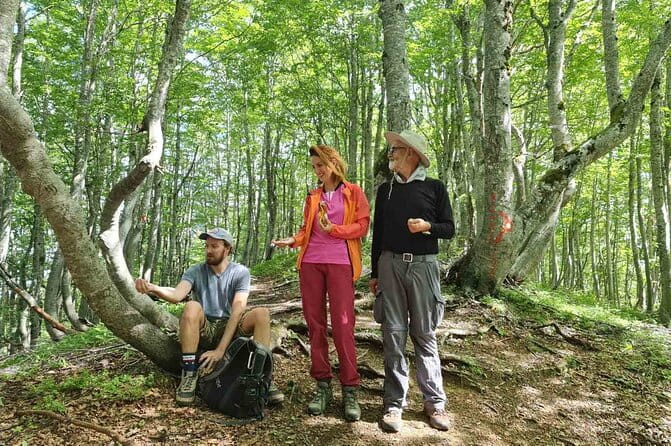 Sunset walking in NP Skadar lake from Podgorica - Exploring Montenegro’s Natural Treasures