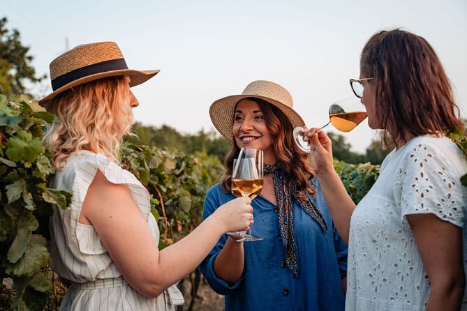 Sunset wine tasting in vineyard - What Travelers Love Most