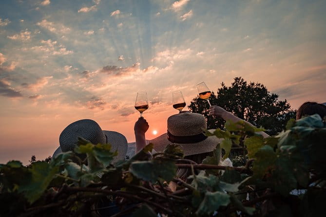 Sunset wine tasting in vineyard - FAQ