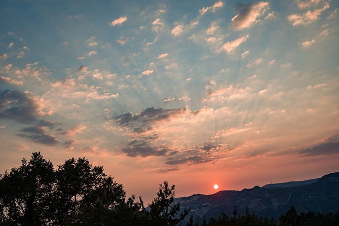 Sunset wine tasting in vineyard - Summing It Up: Who Should Consider This Experience?