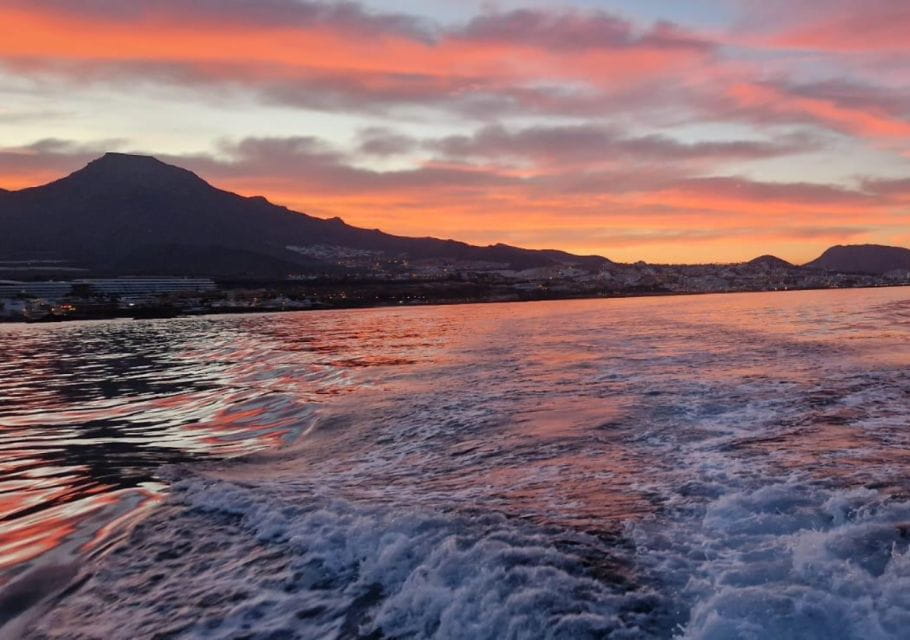 Sunset With Saena - Unlimited Non-Alcoholic Drinks and Beer