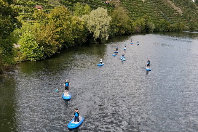 SUP BASIC COURSE Stuttgart Neckar Stand Up Paddling / Paddling Adventure Jones Tours - Price and Logistics: What You Need to Know