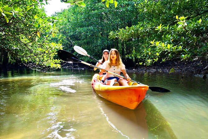 SUP/Canoe & Landing on Coral Island & Sightseeing in Yubujima - Schedule and Availability
