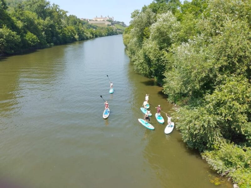 SUP Station Würzburg: SUP board rental, courses, training directly on the Main - Group Experiences and Special Occasions