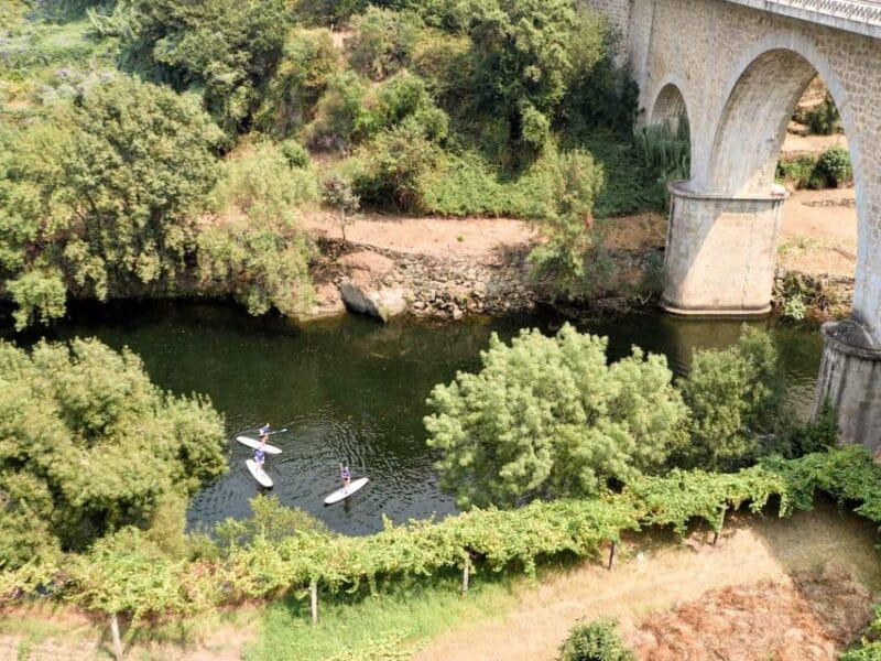 SUP TOUR - Explore Porto´s surroundings on a SUP Board - Discovering Porto’s Natural Beauty from the Water