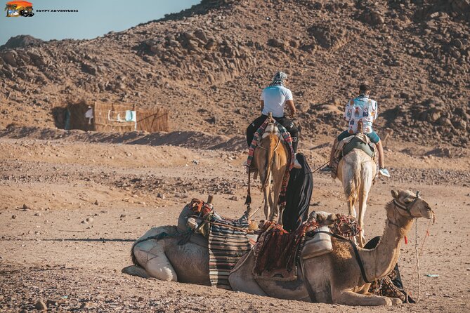 Super Safari ATV Quad Full Day and Jeep & Camel Ride & Dinner Party - Hurghada - Bedouin Village and Show