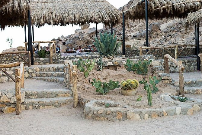 Super Safari By ATV Quad and Sunset, Camel Ride Bedouin Dinner - Marsa Allam - Bedouin Dinner Show