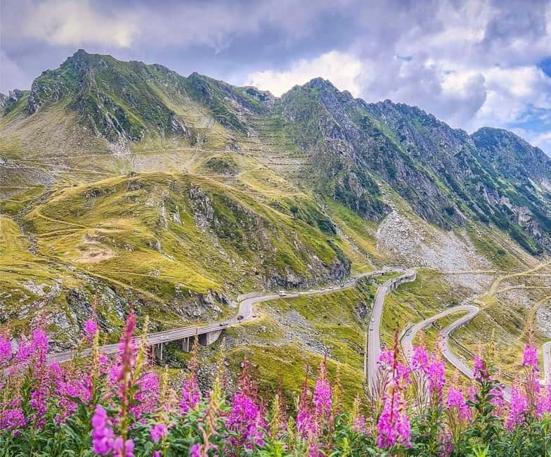 SUPER TOUR: Top Gear Road with Wild Bears Sightseeing - Scenic Drive and Free Time on Transfagarasan