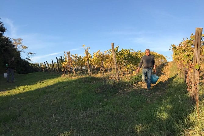 Super Tuscan & IGT wines, Evo Oil & Balsamic Vinegar Tasting - Practical Details and Tips for Travelers