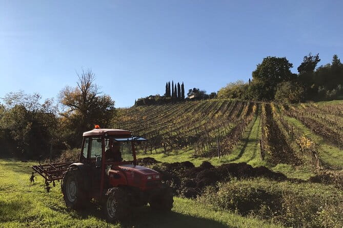 Super Tuscan & IGT wines, Evo Oil & Balsamic Vinegar Tasting - Final Thoughts: Who Will Love This?