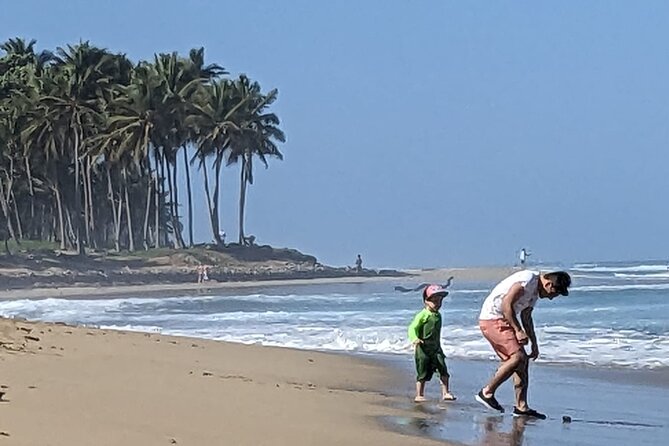 Surfing Experience in Cabarete Dominican Republic - Booking and Cancellation Policy