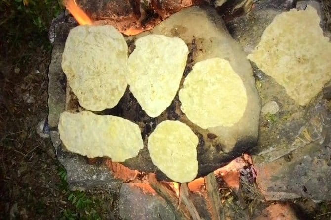 Survival and Bushcraft Courses - Discovering Calabria’s Wilderness with a Survival and Bushcraft Course