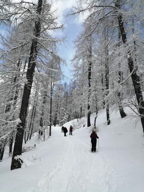 Susa Valley at dawn: snowshoeing in nature and silence - Who Will Love This Snowshoe Tour?