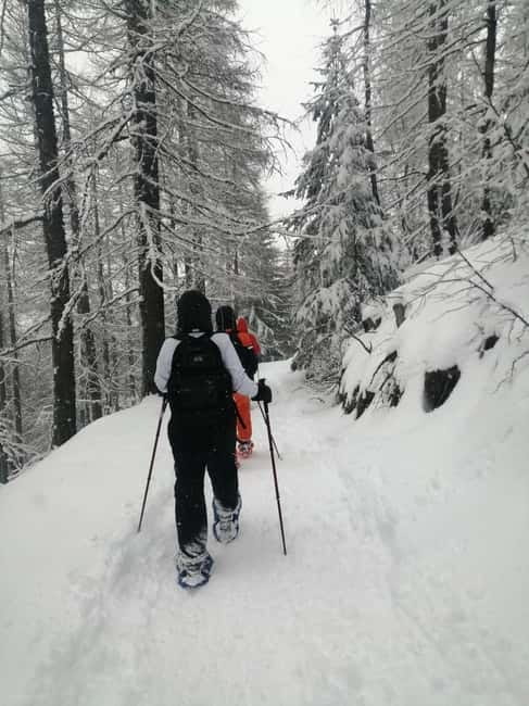 Susa Valley at dawn: snowshoeing in nature and silence - The Sum Up: Is This the Right Experience for You?