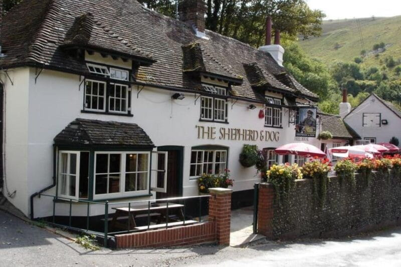 Sussex Vineyard Tour by Minibus - pick up and drop off - Discovering Albourne Estate: An Award-Winning Sussex Vineyard