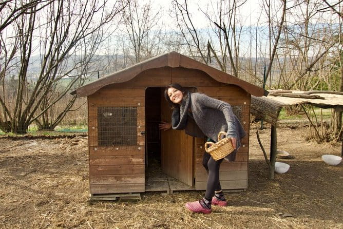 Sustainable Farm Tour & Northern Italian Cooking Class in Asti - Price and Value Analysis