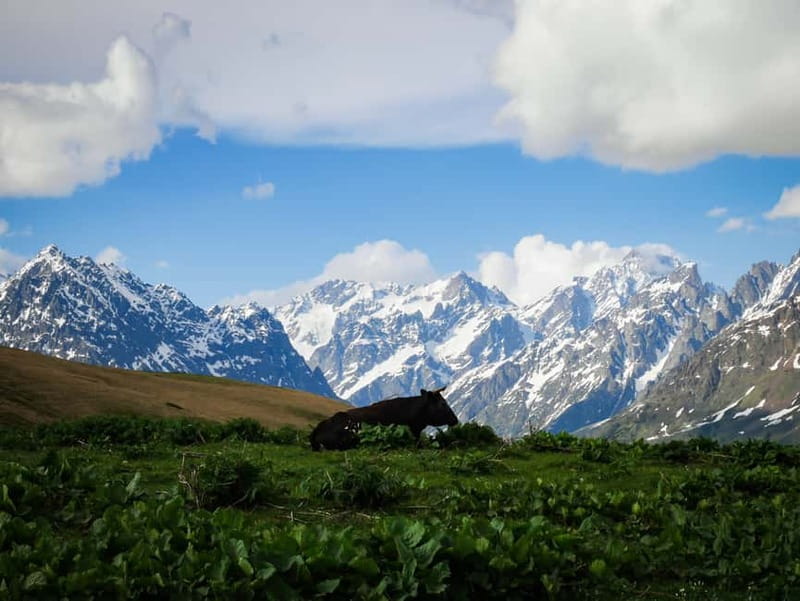 Svaneti Towers Private Tour to Mestia, Hatsvali, Ushguli - The Sum Up: Who Will Love This Tour?